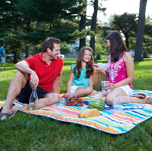 Family at picnic